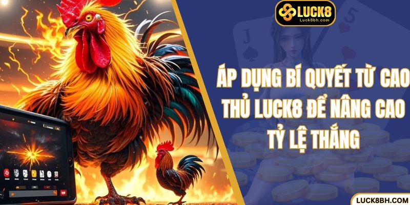 Áp dụng bí quyết từ cao thủ Luck8 để nâng cao tỷ lệ thắng