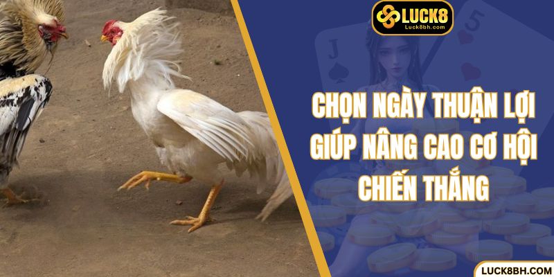 Chọn ngày thuận lợi giúp nâng cao cơ hội chiến thắng
