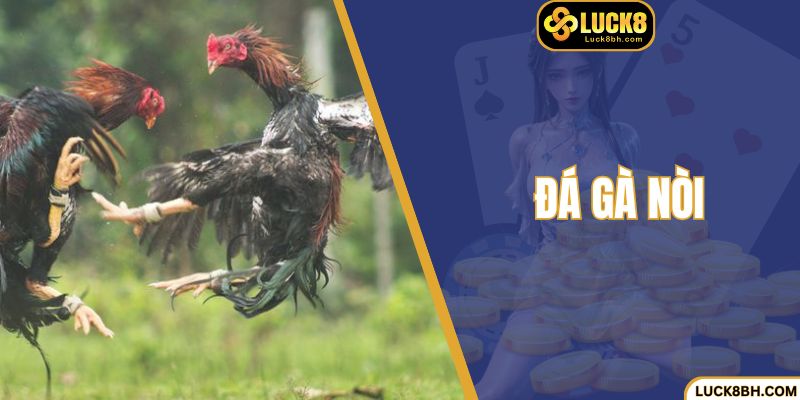 Đá Gà Nòi Luck8 - Bí Quyết Thắng Lớn Nhờ Mẹo Siêu Hay 