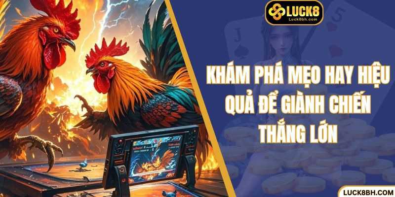 Khám phá mẹo hay hiệu quả để giành chiến thắng lớn