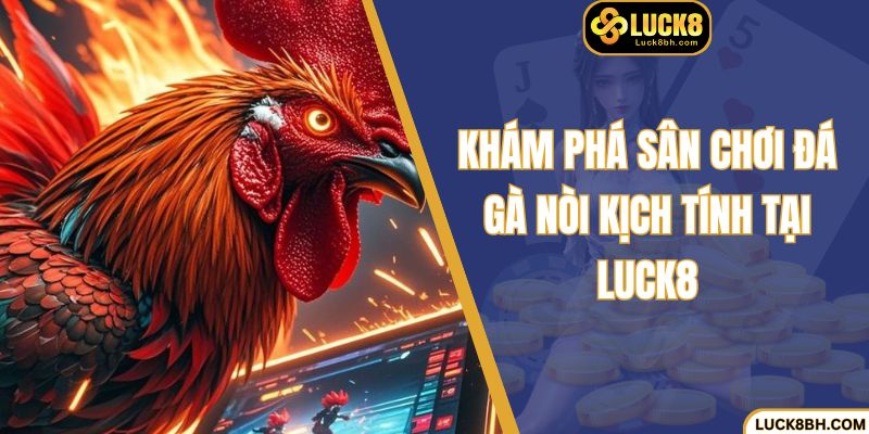 Khám phá sân chơi đá gà nòi kịch tính tại Luck8