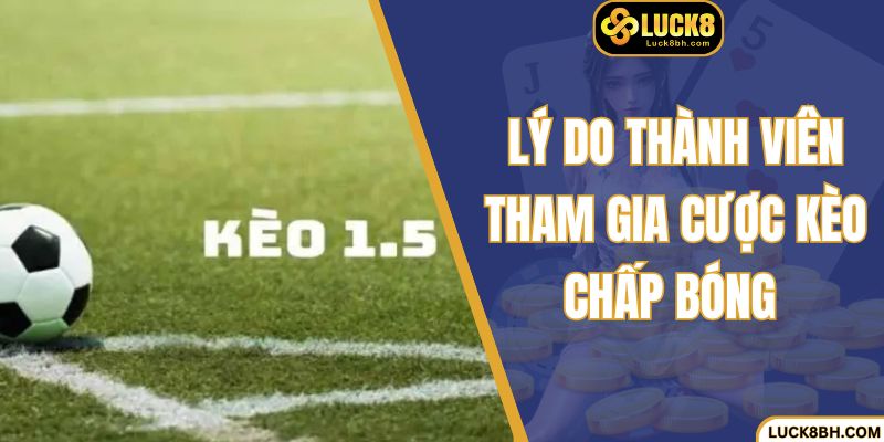 Lý do thành viên tham gia cược kèo chấp bóng