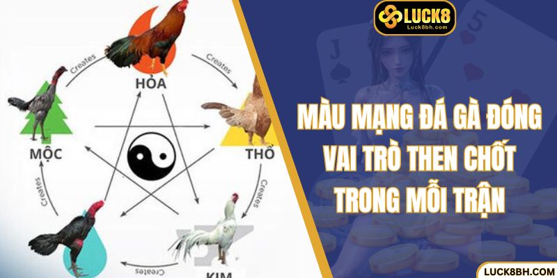 Màu mạng đá gà đóng vai trò then chốt trong mỗi trận