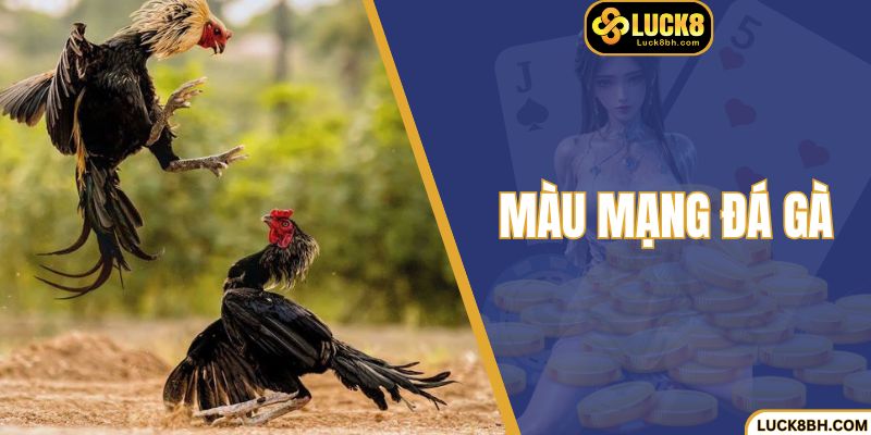 Màu Mạng Đá Gà - Chọn Màu Siêu Hay Nhận Quà Siêu Cháy