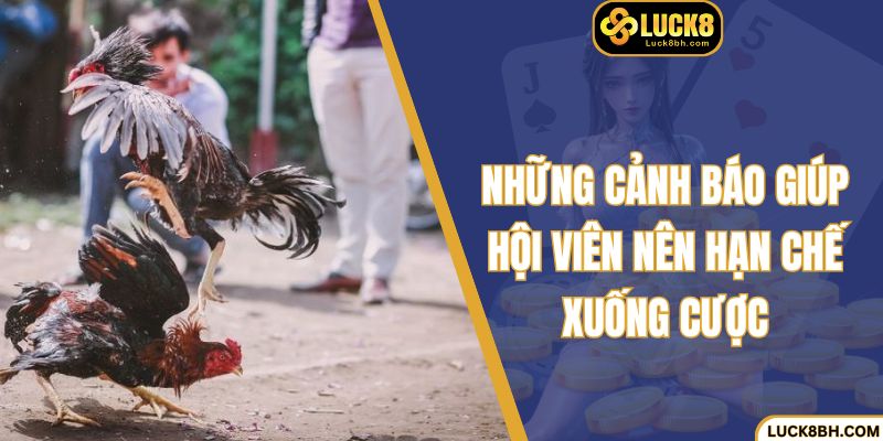 Những cảnh báo giúp hội viên nên hạn chế xuống cược