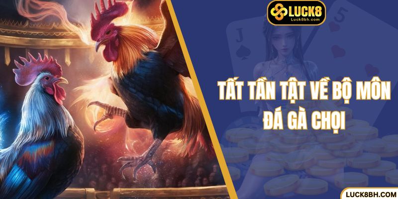 Tất tần tật về bộ môn đá gà chọi