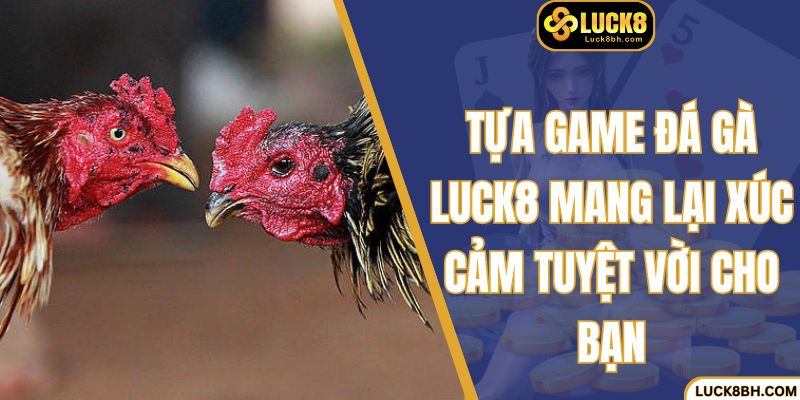 Tựa game đá gà Luck8 mang lại xúc cảm tuyệt vời cho bạn