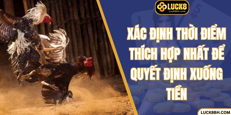 Xác định thời điểm thích hợp nhất để quyết định xuống tiền